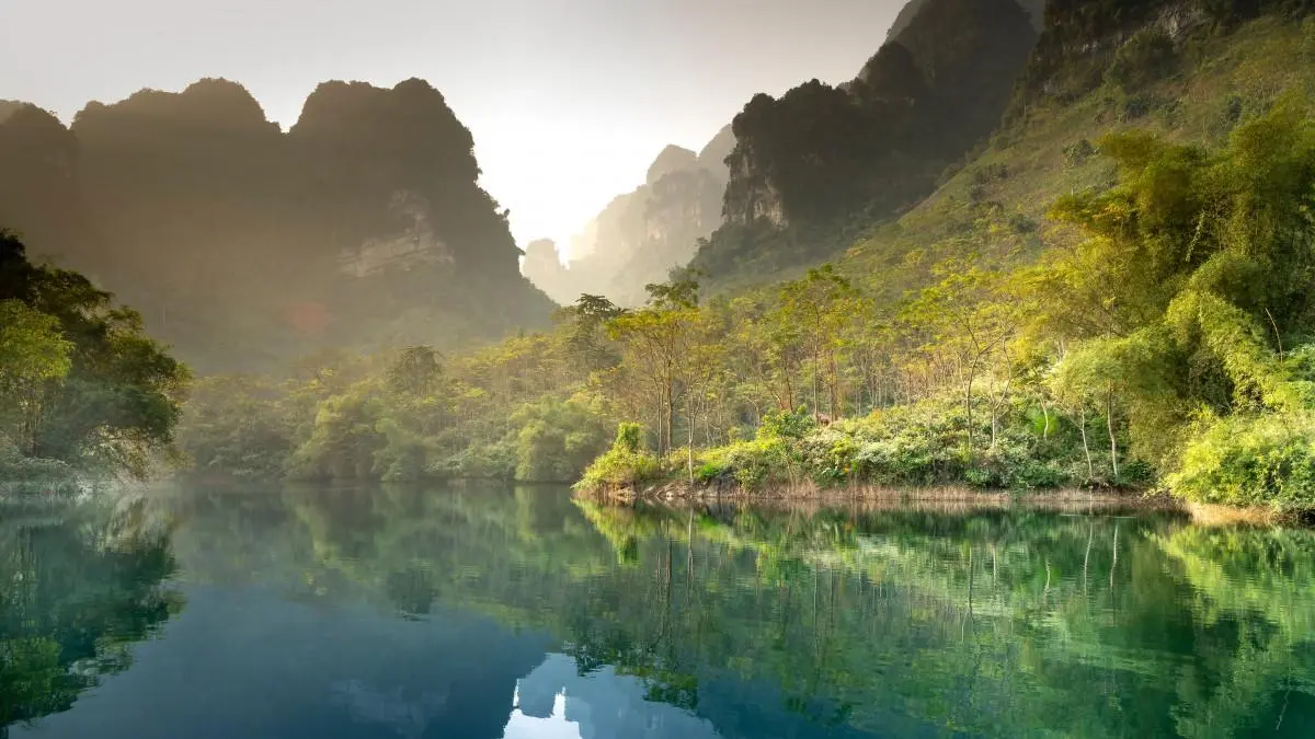智能系统智能系统